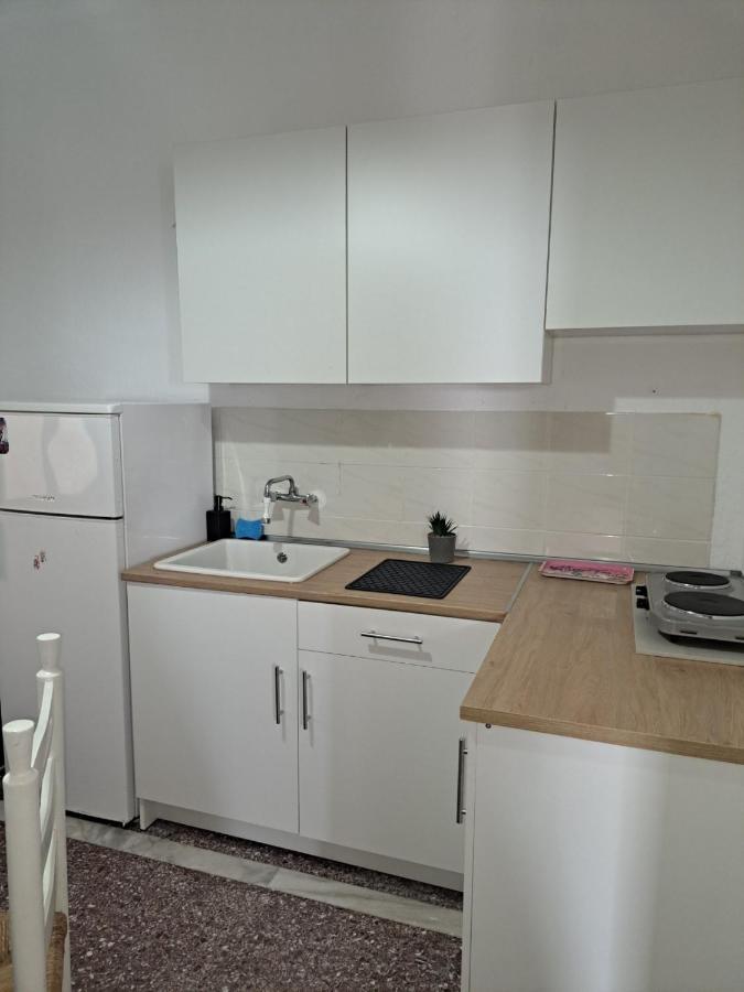 Blue Horizon Apartment Nea Vrasna Ngoại thất bức ảnh